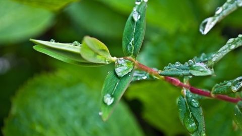 Приготовьте зонты: синоптики рассказали, где ожидаются дожди