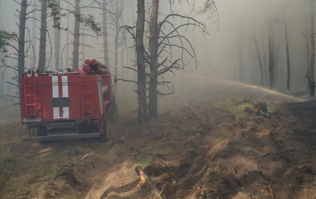 У Луганській області спалахнули лісові пожежі