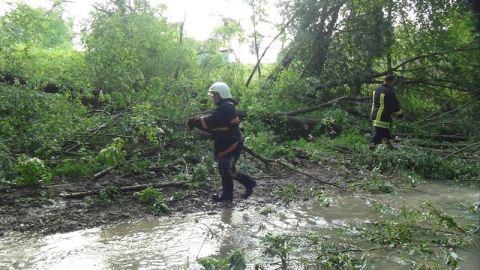 На западе Украины затопило десятки домов