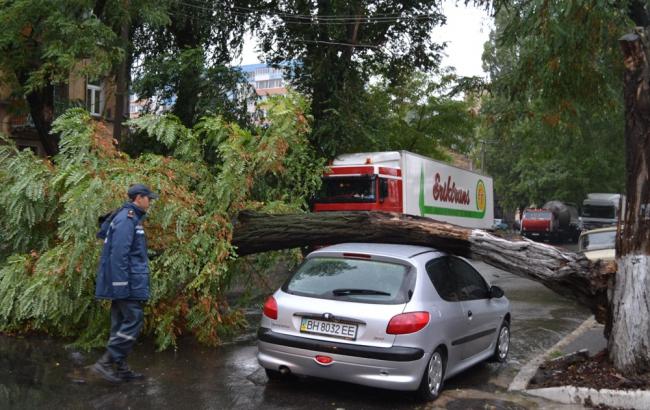 В Одесской области непогода обесточила более 20 населенных пунктов