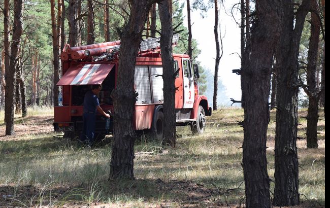 В Житомирській області виникла пожежа в природному заповіднику