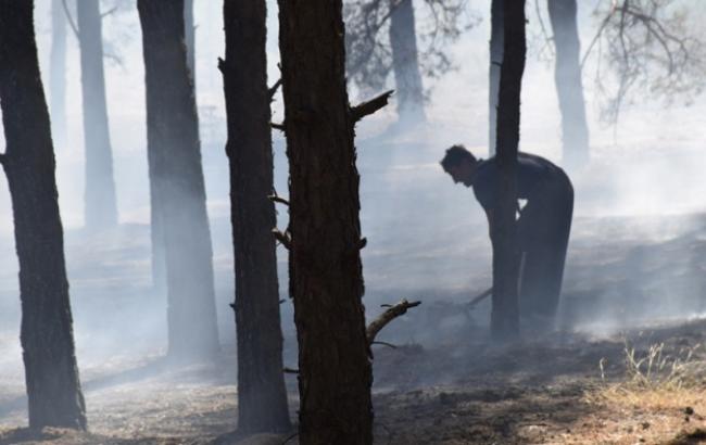В Николаевской области двое парней по неосторожности подожгли лес и убежали