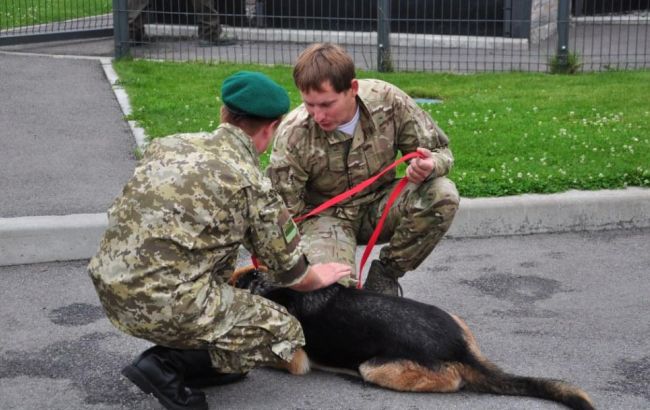 ГПС: с помощью служебных собак за полгода задержаны 111 нарушителей границы