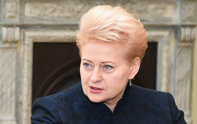 Президент Литвы заявила о поддержке борьбы с коррупцией в Украине