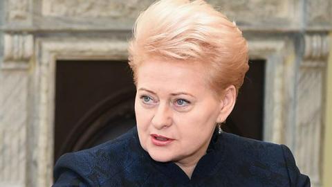 Литва підтримує Україну у захисті цінностей Майдану, - Грибаускайте