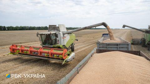 Врожайність ранніх зернових в Україні перевищила рекордний 2021 рік завдяки погоді