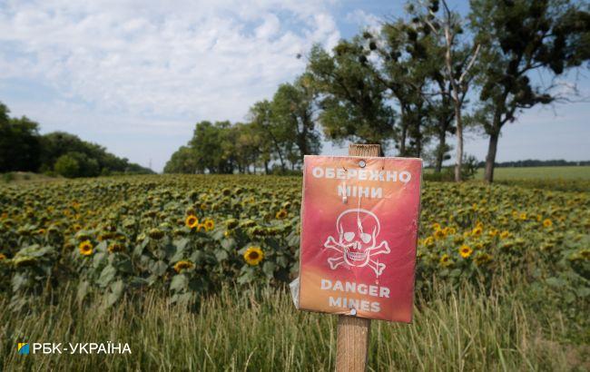 Людей просять бути обережними у лісах біля кордону з Білоруссю: в чому небезпека