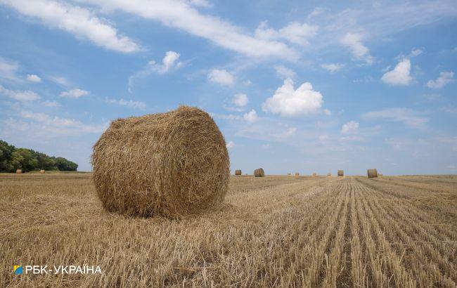 В Минагрополитики назвали регион Украины с самой дорогой землей