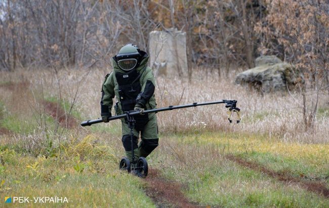 В Японии проведут обучение украинских саперов