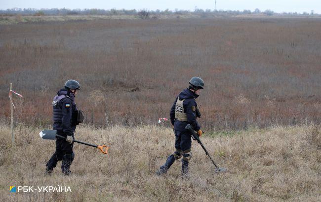 В Харьковской области мужчина подорвался на российской мине "лепесток"