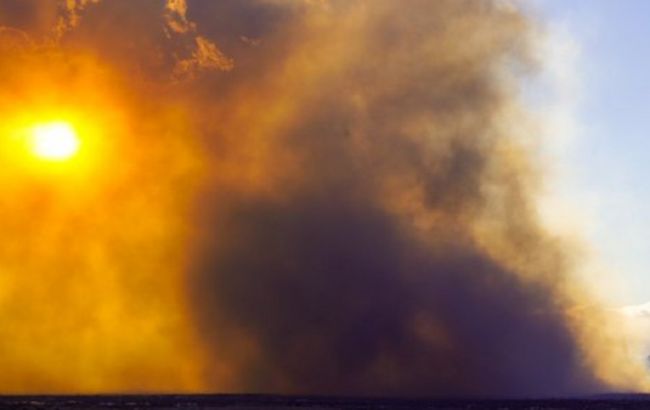 В Колорадо из-за лесных пожаров сгорели более 500 домов