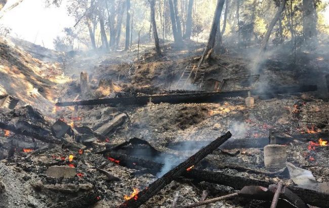 Число жертв лесных пожаров в Калифорнии превысило 70