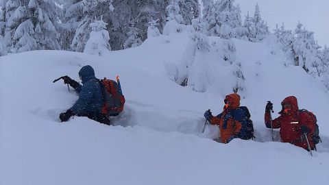 У Карпатах -&nbsp;сніголавинна небезпека та обмежена видимість: попередження синоптиків