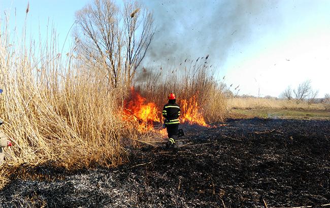 Синоптики предупреждают о пожарной опасности в Украине