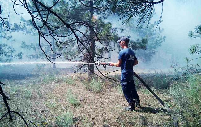 У Херсонській області третій день триває гасіння масштабної лісової пожежі