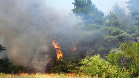 В Полтавской области на площади 70 га горит торф