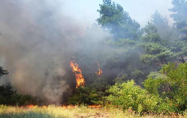 У Полтавській області на площі 70 га горить торф