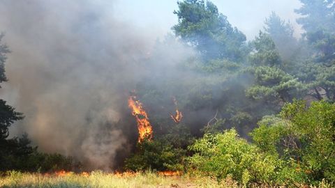 У Харківській області закрили школу та дитсадки через пожежу на військовому полігоні