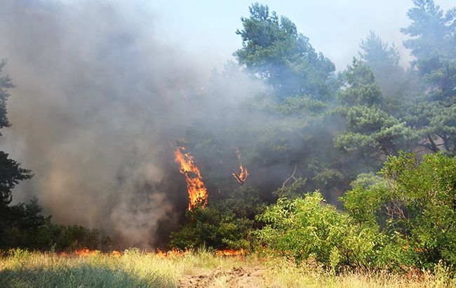 В Украине удержится пожарная опасность