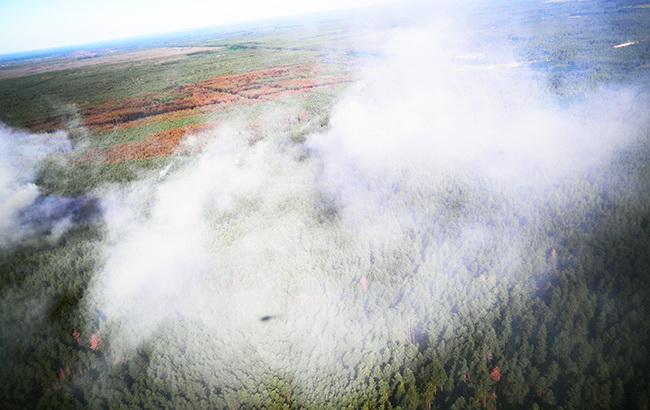 Синоптики предупреждают о высоком уровне пожарной опасности в Украине