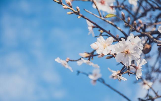 Синоптик дала прогноз погоды на ближайшие дни