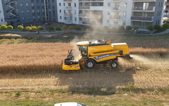 Не продал землю застройщику: появилось видео, как фермер собирает урожай среди ЖК