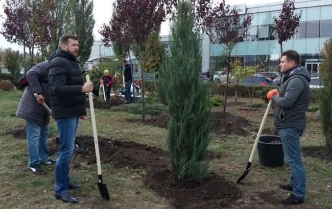 У Києві вандали масово знищують і крадуть зелені насадження