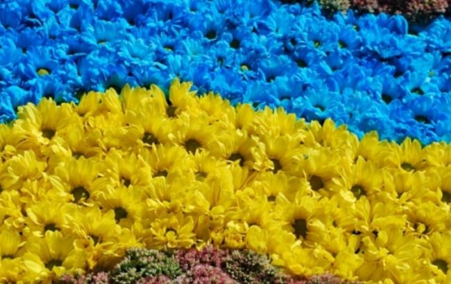 Величезний квітковий прапор України буде претендувати на два рекорди