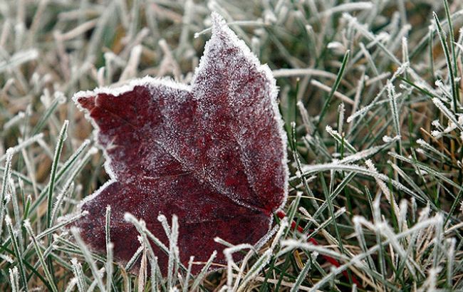 Синоптики попереджають про заморозки у ряді областей України
