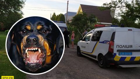 Собака сорвалась с привязи и бросилась на людей: пострадал пятилетний ребенок (видео)