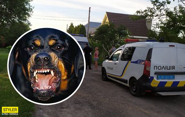 Собака сорвалась с привязи и бросилась на людей: пострадал пятилетний ребенок (видео)