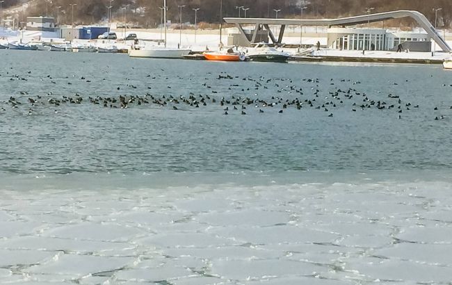 У Болгарії вперше за 60 років замерзло Чорне море