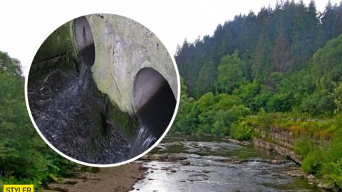 В українських Карпатах є загроза екологічної катастрофи: усі подробиці