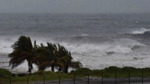 На Токио надвигается тайфун