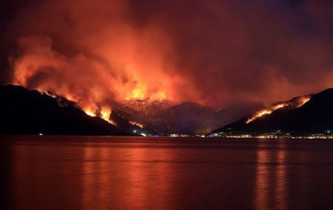 У Туреччині затримали чоловіка, який може бути причетним до масштабних лісових пожеж (відео)