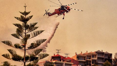 В Греции горят леса. Огонь угрожает пригородам Афин