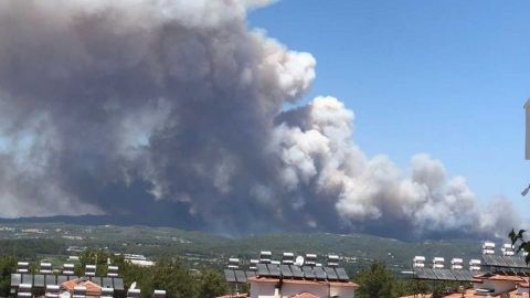 В результате лесных пожаров в Анталии погибло три человека