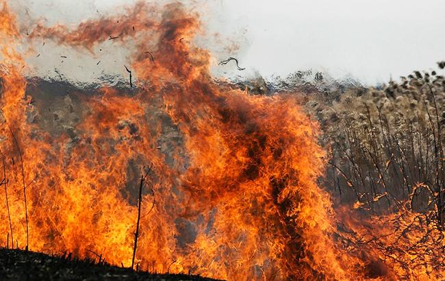 Синоптики предупреждают о пожарной опасности в Украине 14-16 апреля