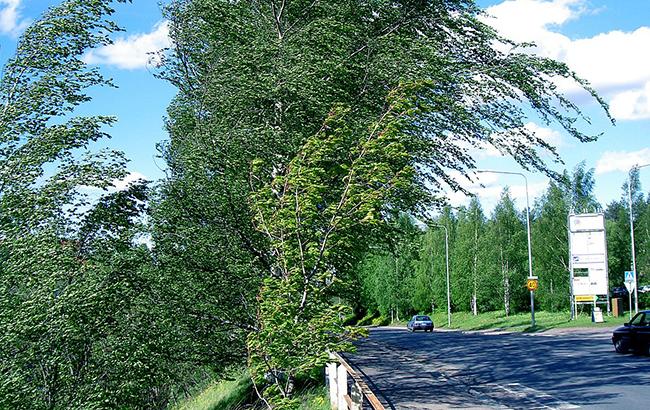 Град і шквали: синоптики попереджають про погіршення погоди