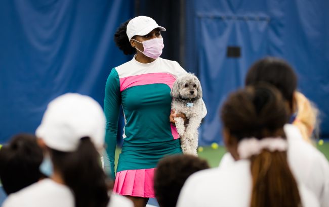 Винус Уильямс выступит на Уимблдоне-2022 в миксте с братом любимца публики