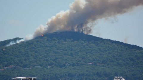 На острове возле Стамбула вспыхнул масштабный лесной пожар