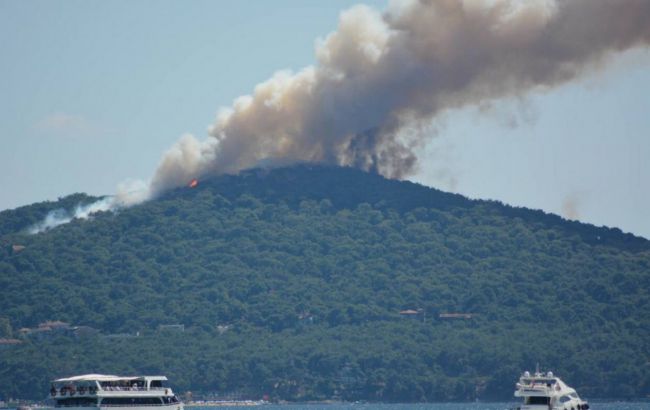 На острові біля Стамбула спалахнула масштабна лісова пожежа