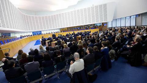 ЄСПЛ визнав мораторій на продаж землі в Україні порушенням прав людини