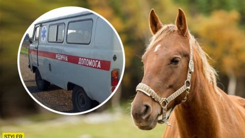 Була прив'язана до коня: деталі дивної загибелі підлітка під Харковом