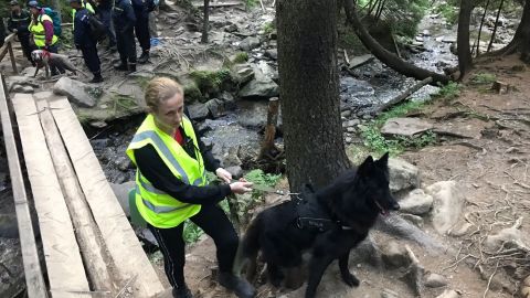 Думали, дитина з родичами: на Говерлі шукають 6-річного хлопчика