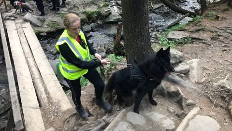 У Карпатах з минулого вечора шукають заблукалу дитину