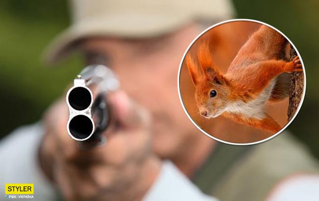 Один випадок на мільйон: білка помстилася мисливцеві за своє вбивство