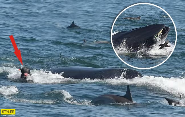 Был невкусным: кит проглотил дайвера, а потом выплюнул (видео)