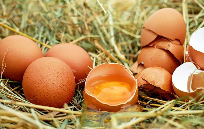 Міністри ЄС мають намір ввести загальну систему сповіщень після забруднення яєць пестицидами