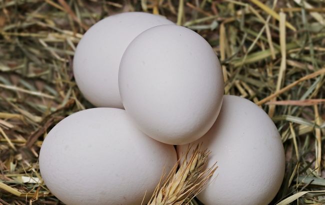 Ціни на яйця в Україні піднімуться ще більше: стануть "золотими"